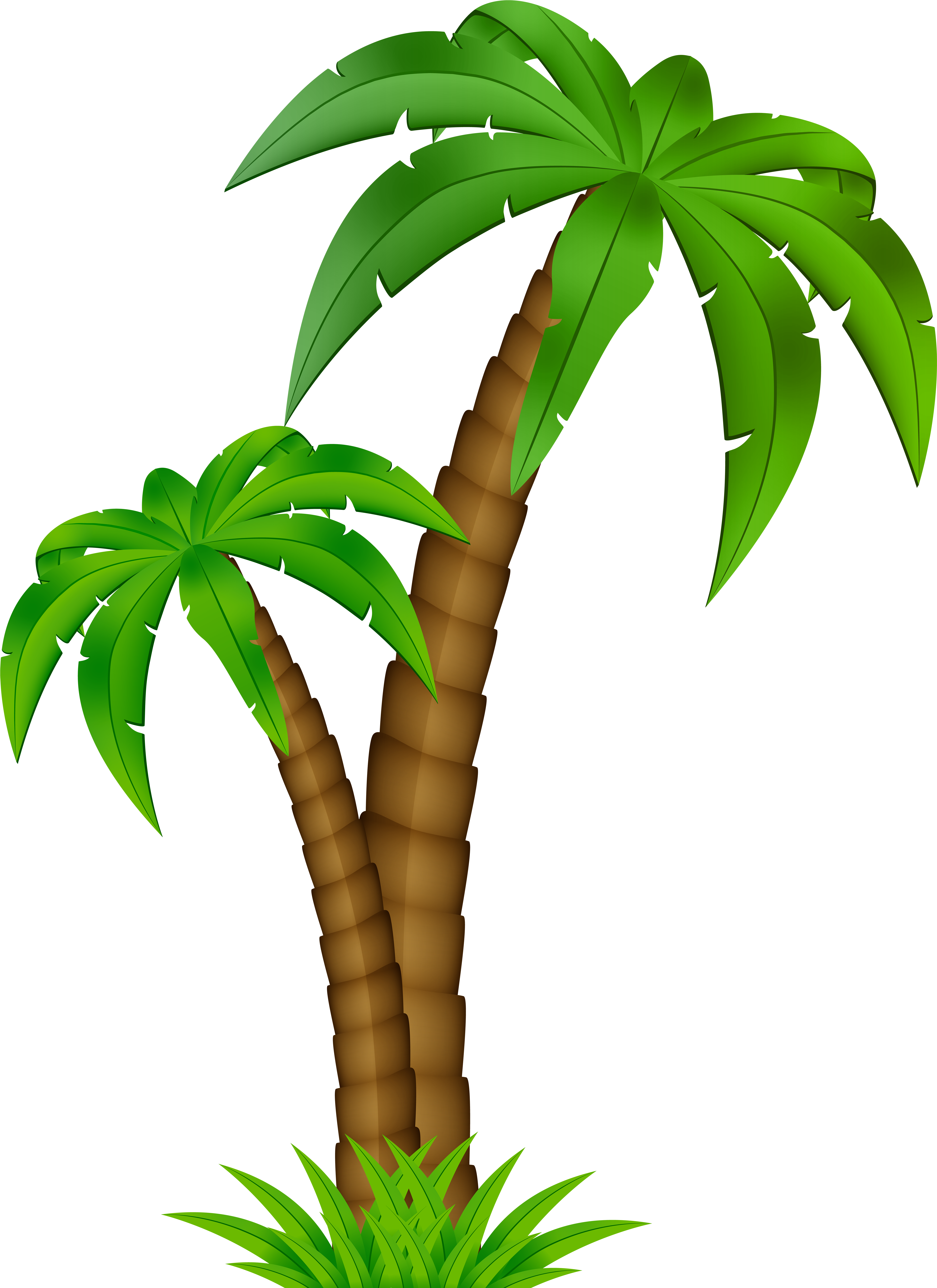 Palm Tree Printable