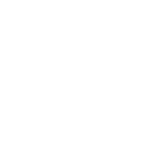 State Of Florida Image.