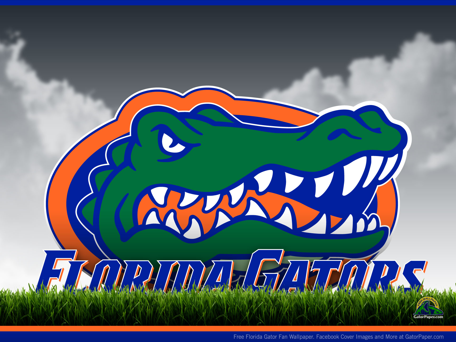 Florida gators desktop clipart.