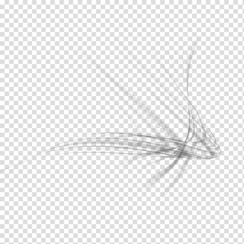 Abstract Flow Brushes, black lines transparent background PNG.