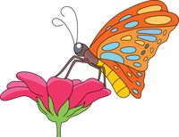 Free Butterfly Clipart.