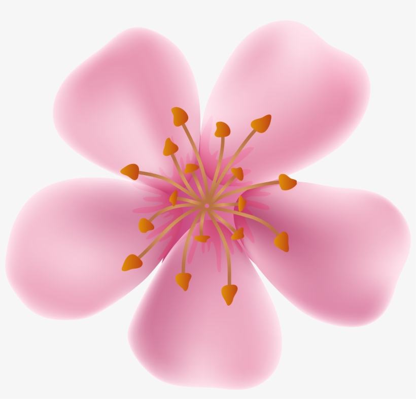 Spring Blooming Flower Clip Art Image Transparent PNG.