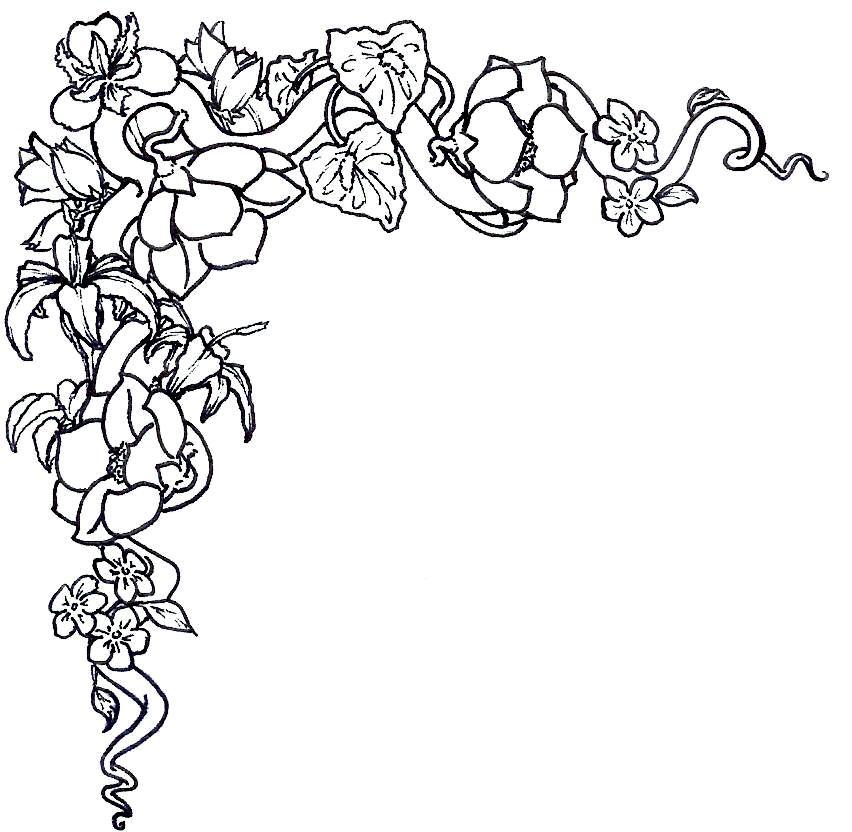 Free Black And White Flower Border, Download Free Clip Art, Free.