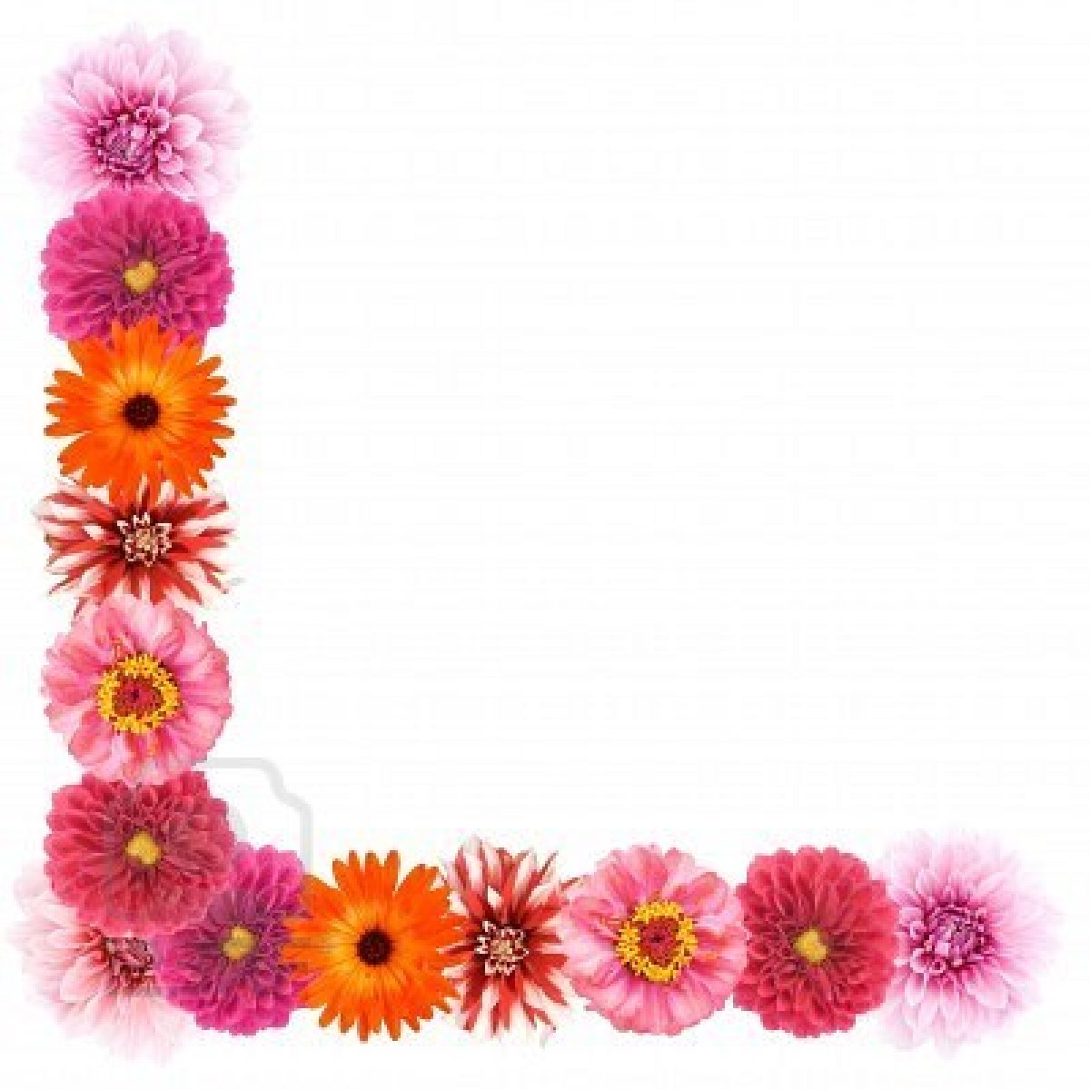 Line Flower Border Design Clipart Best