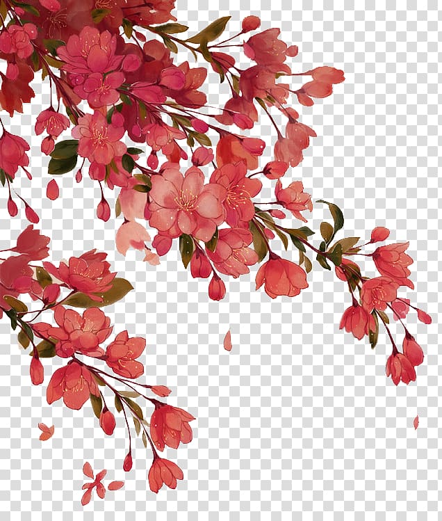 Red petaled flowers, Red Begonia, Begonia tree branches transparent.