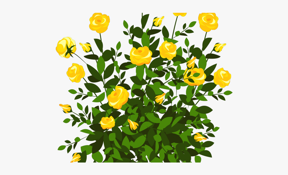 Rose Bush Clipart Colorful.