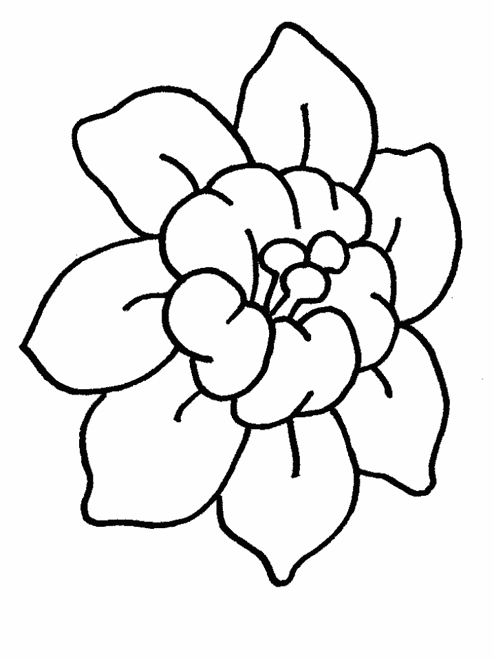 Free Flower Outline For Kids, Download Free Clip Art, Free.