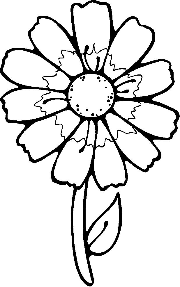 Flower clipart to color 2 » Clipart Station.