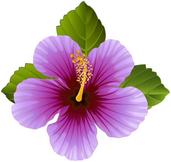 Purple Flower Transparent Clip Art Image.