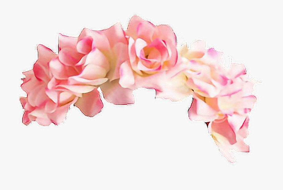 flower crown png 10 free Cliparts | Download images on Clipground 2021