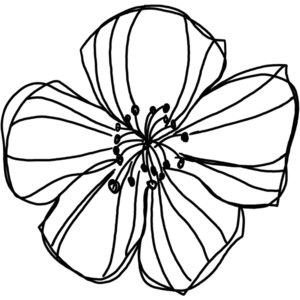 flower doodle png 10 free Cliparts | Download images on Clipground 2021