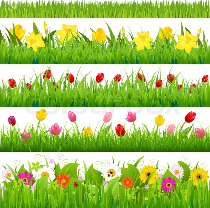 Flower Border Design Landscape Flower Border Design Landscape