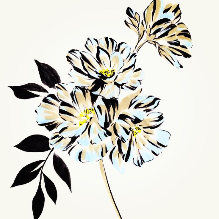 17 Best ideas about Flower Graphic on Pinterest.