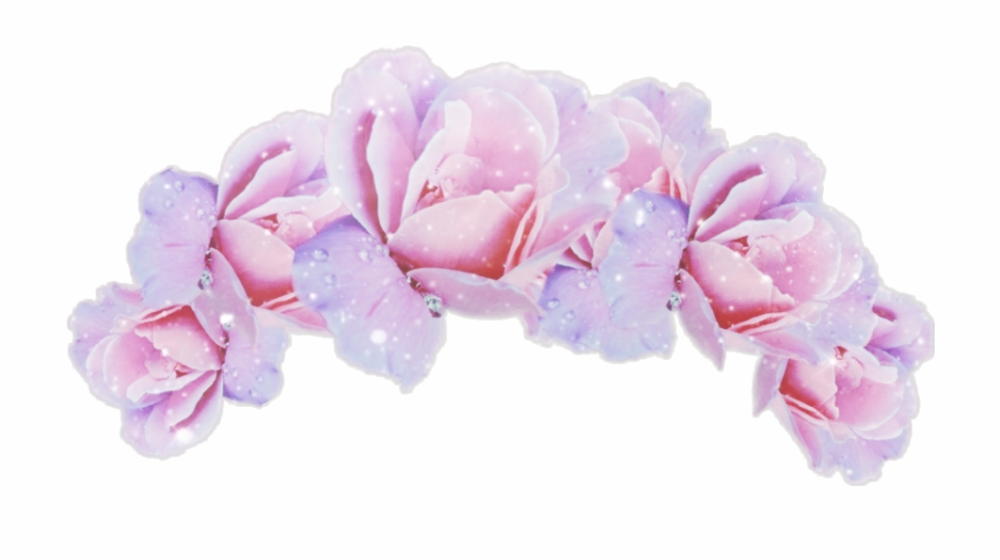 Flower Headband Png 10 Free Cliparts Download Images On Clipground 2024