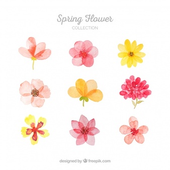 Flower Vectors, Photos and PSD files.