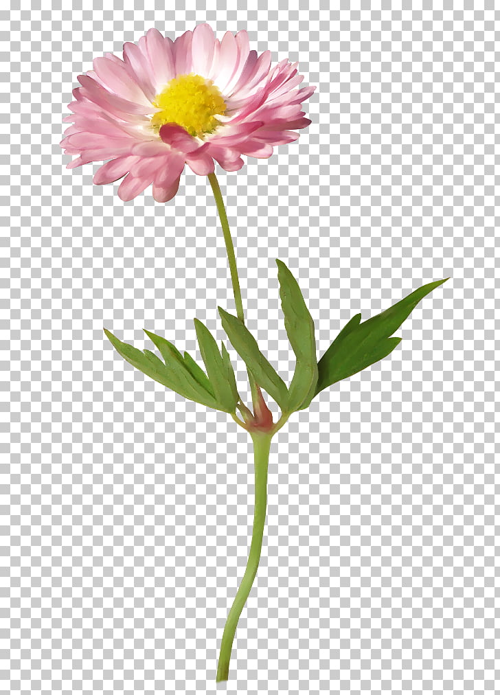 Flower Gerber format , flower PNG clipart.
