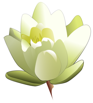 Free Lily Clipart.