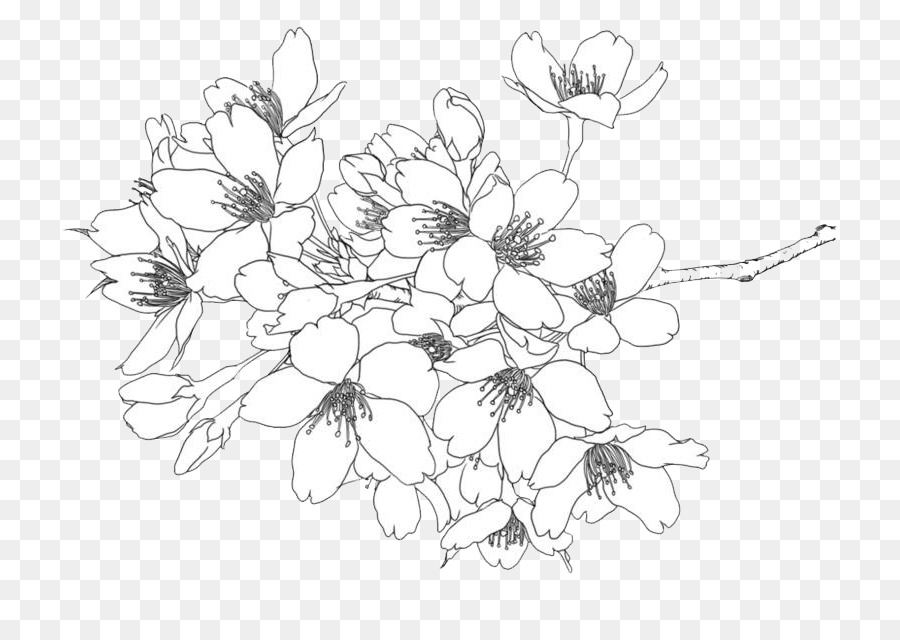 flower line art png 10 free Cliparts | Download images on Clipground 2024