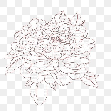 flower line art png 10 free Cliparts | Download images on Clipground 2022