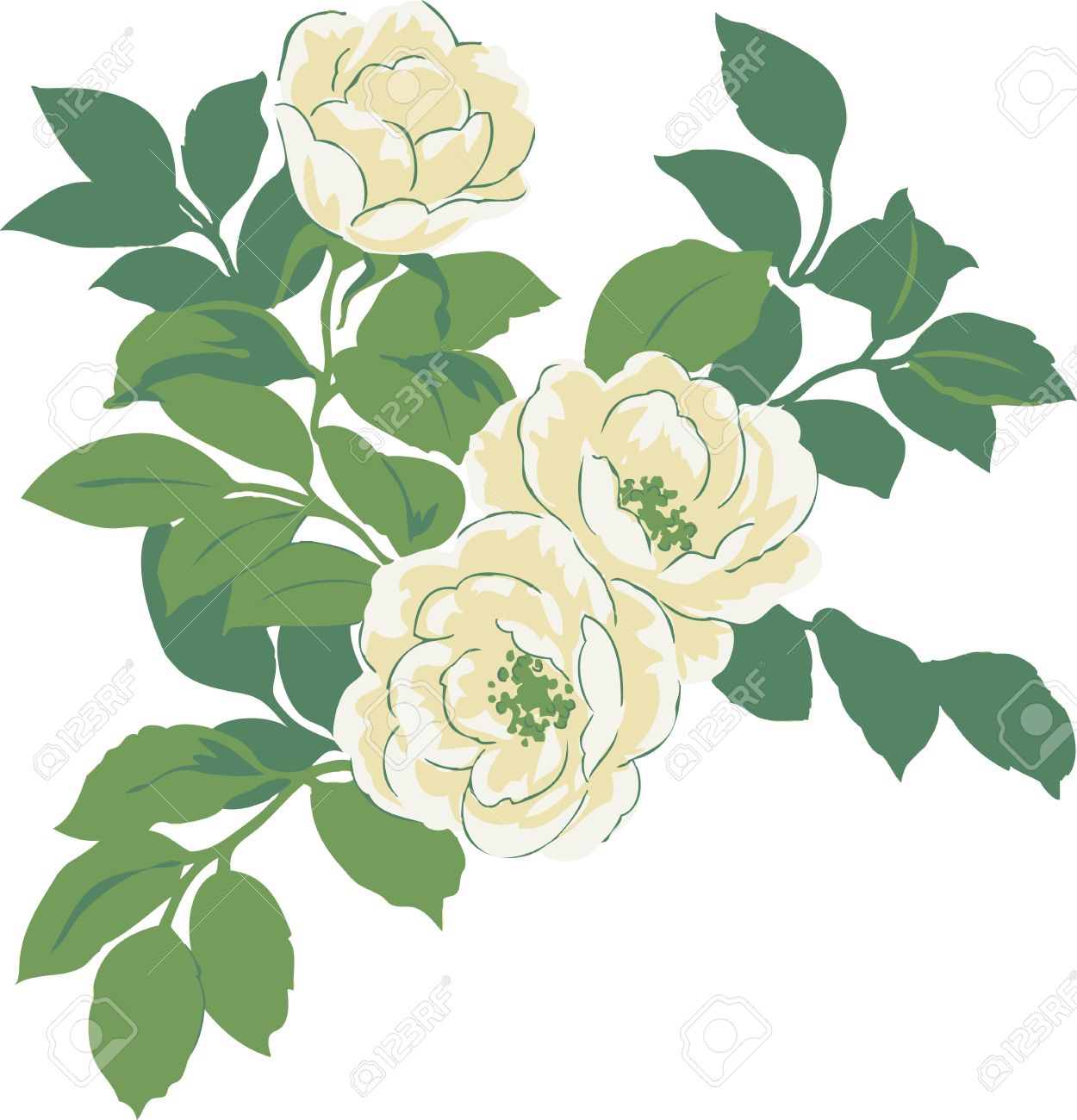 Clipart of natural flowers.