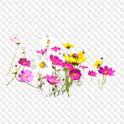 Flower Photoshop Overlays 27 High Quality PNG images Download.