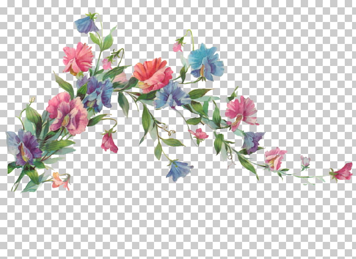 Flower Painting , Floral Transparent , pink and blue flowers.