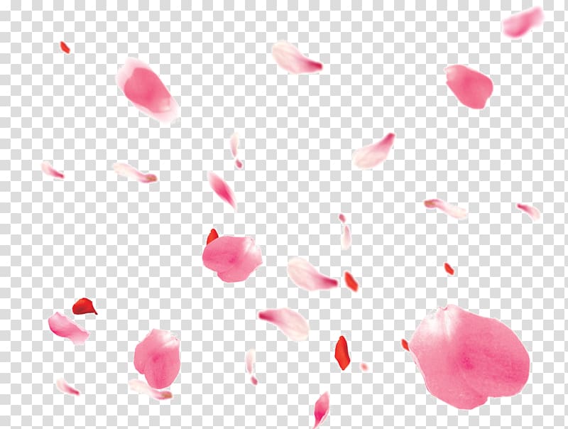 falling petals clipart 10 free Cliparts | Download images on Clipground