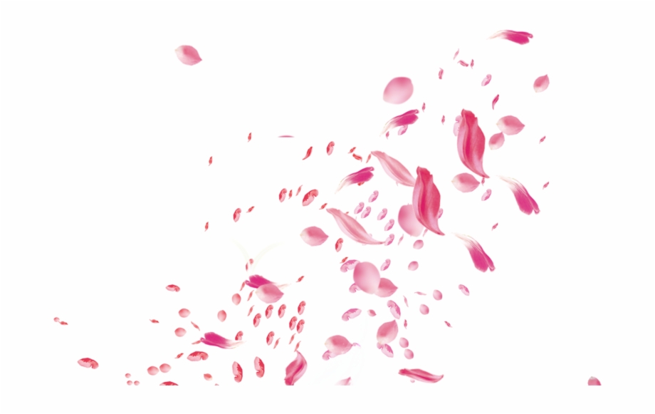 Flower Petals For Wedding Free PNG Images & Clipart Download.