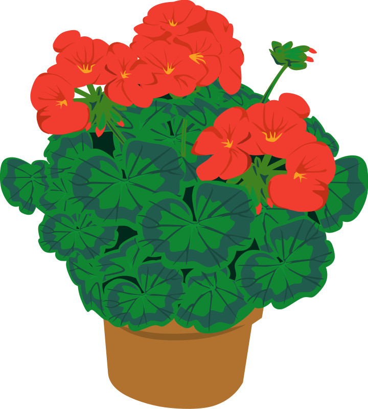 Flower Potted Plant Clipart.
