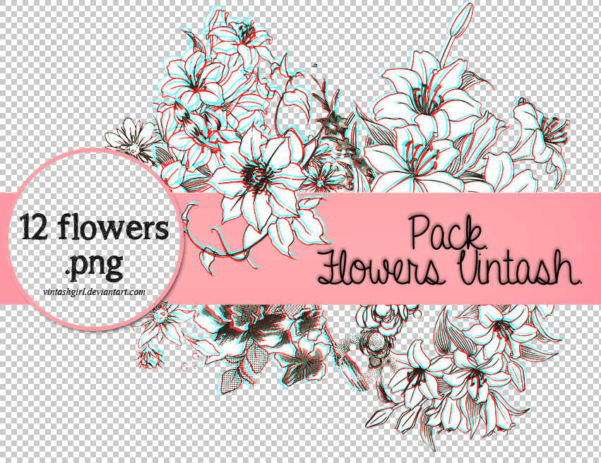Pack flowers.png by vintashgirl on DeviantArt.