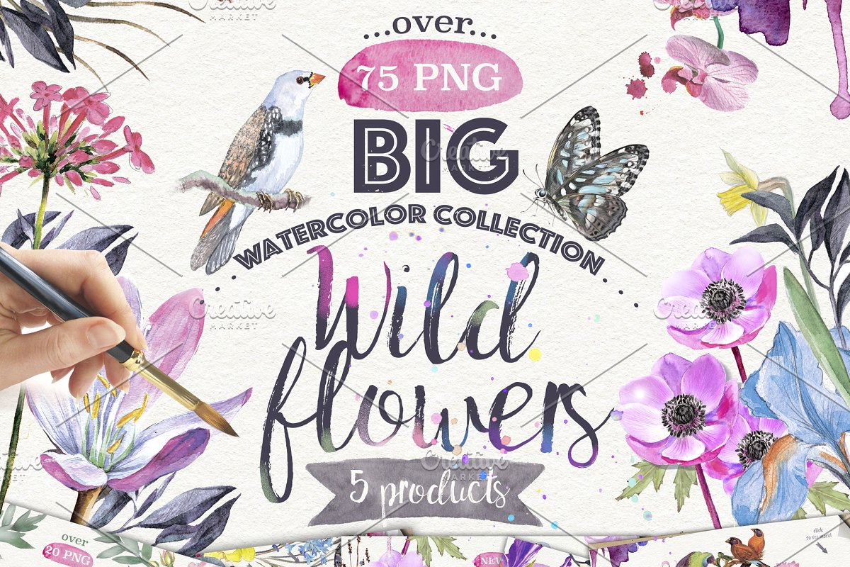 Wildflowers pack 75 PNG ~ Illustrations ~ Creative Market.