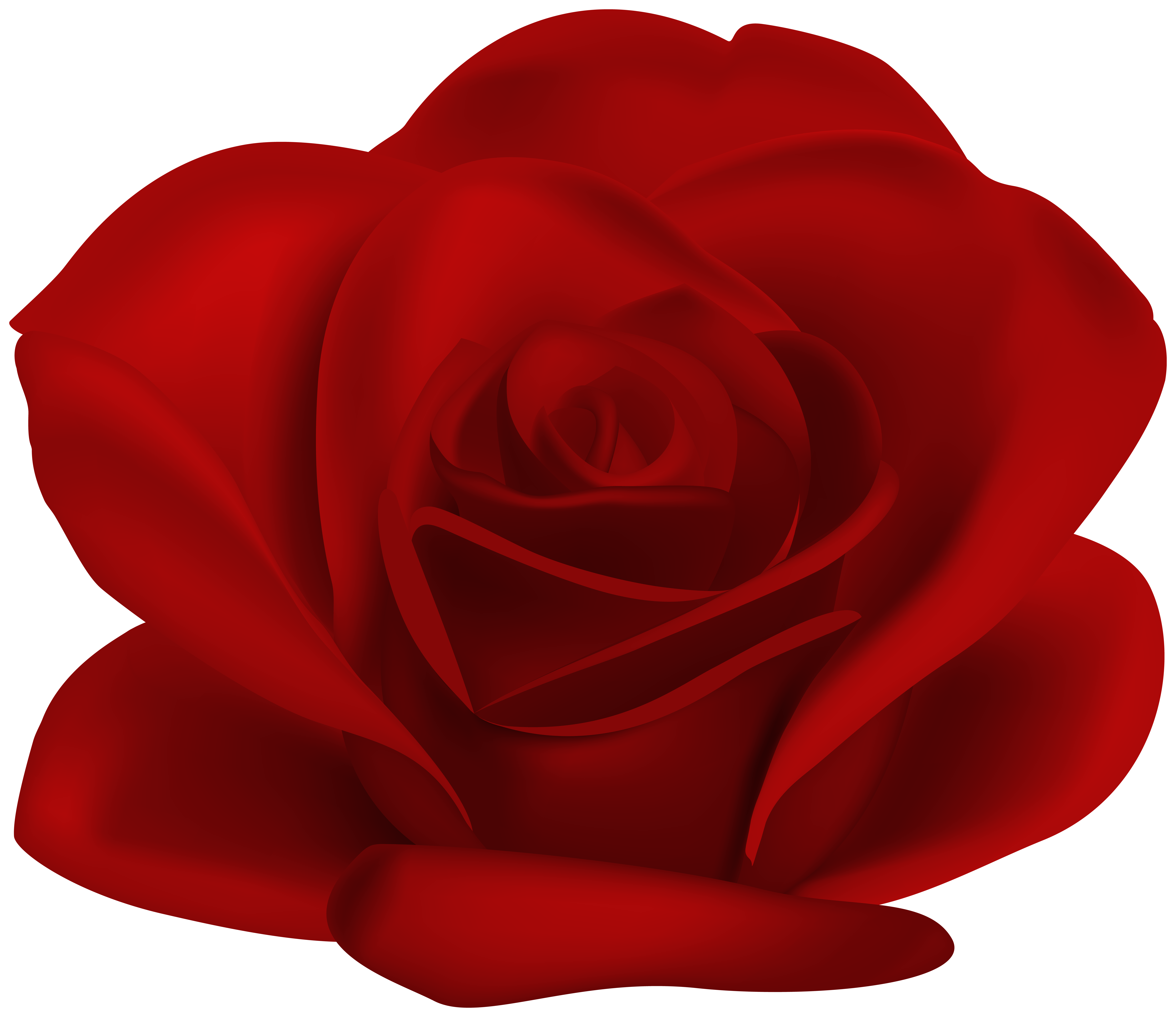 Red Flower Rose Transparent Image.