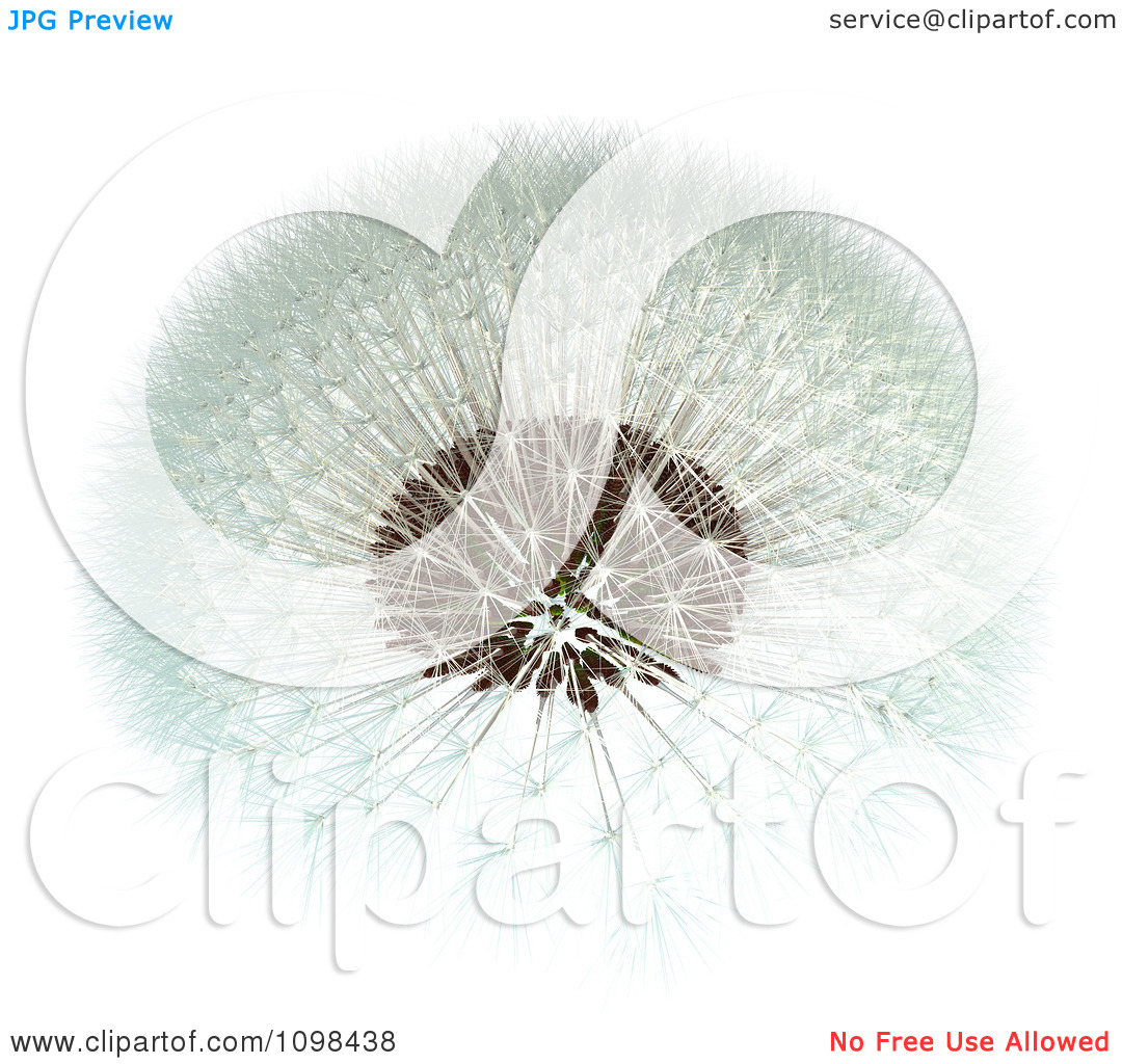 Clipart 3d Dandelion Seed Head Shown With A Fibonacci Sequence.