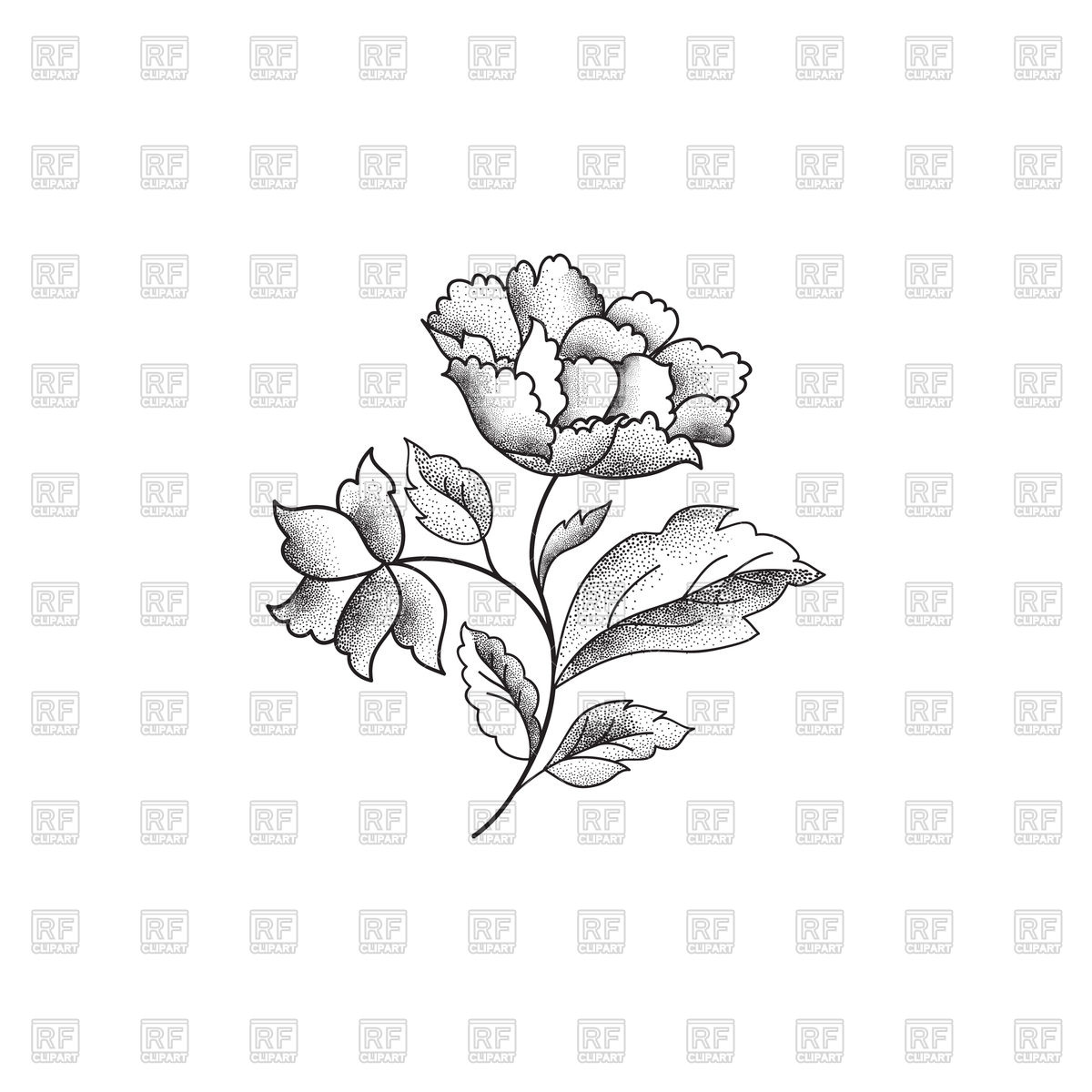 Flower sketch on white background Stock Vector Image.