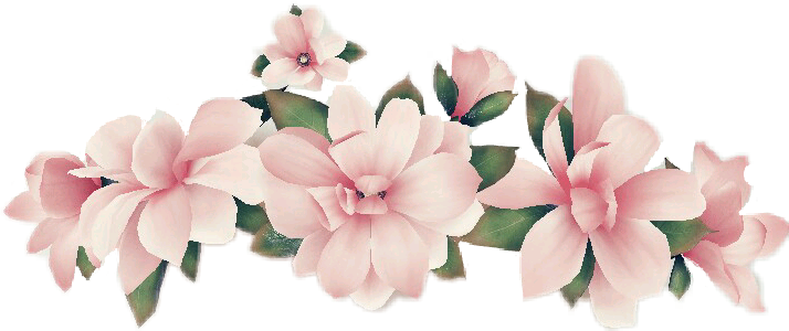 flower snapchat clipart 10 free Cliparts | Download images on