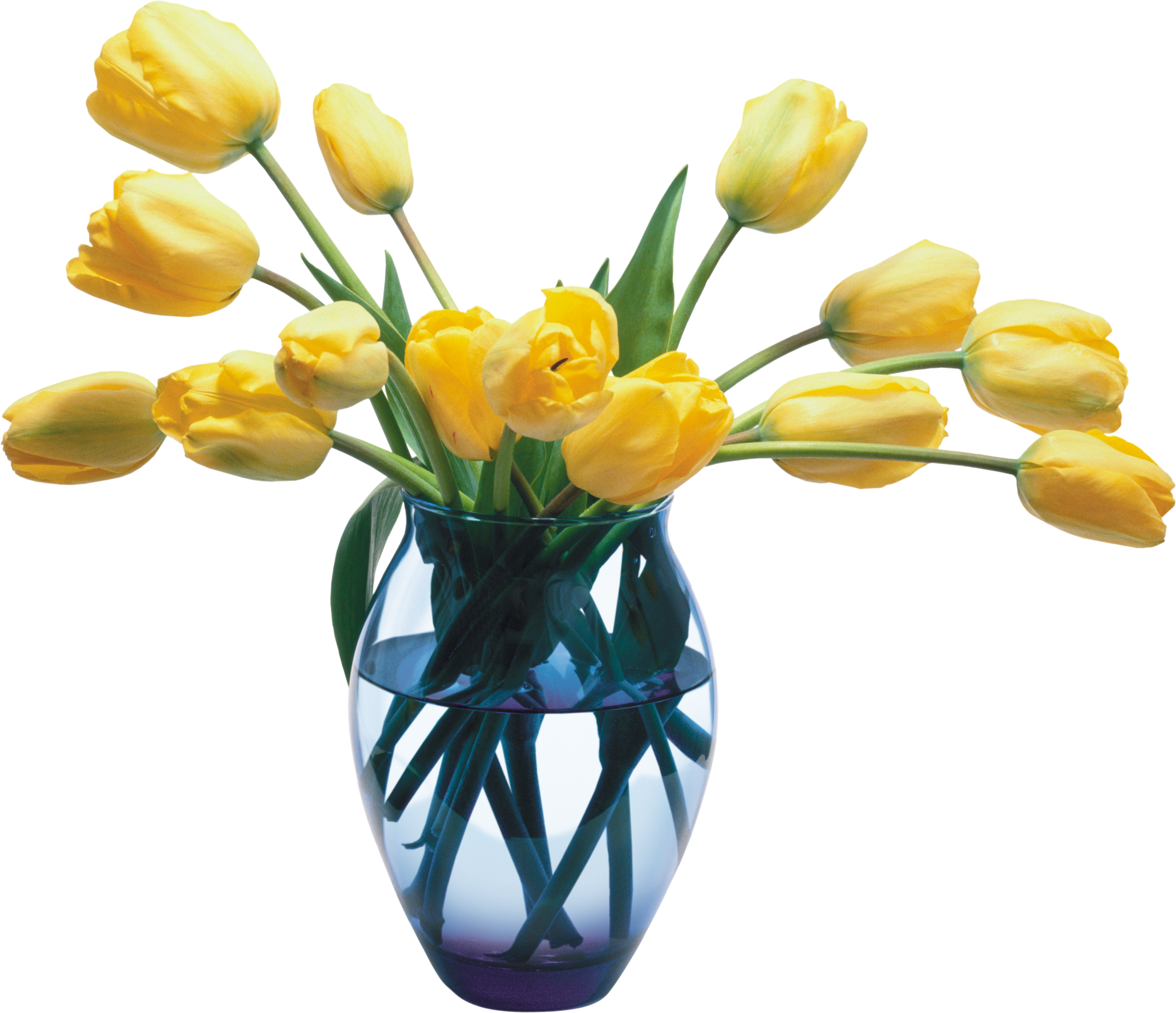 Vase PNG images free download.