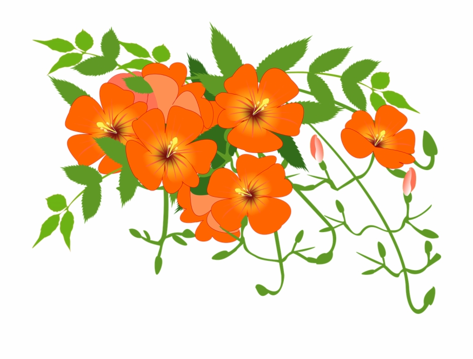 Download flower vine clip art 10 free Cliparts | Download images on ...