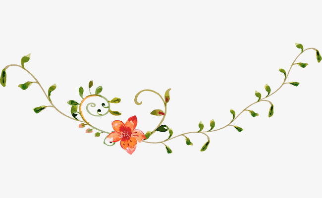 flower vines png 10 free Cliparts | Download images on Clipground 2024