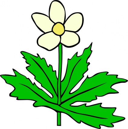 Flower with leaf clipart.