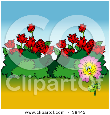 Cartoon of a Shrub with Red Flowers.