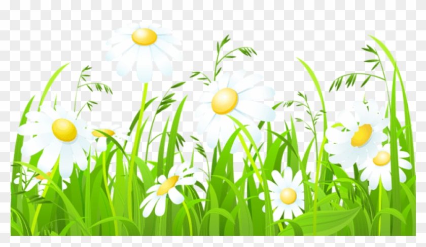Free Png Download White Flowers And Grass Transparent.