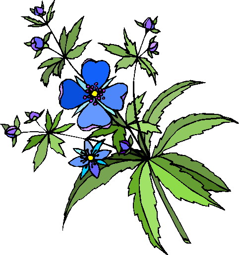 Flowers And Plants Clipart 20 Free Cliparts Download Images On Clipground 2024 