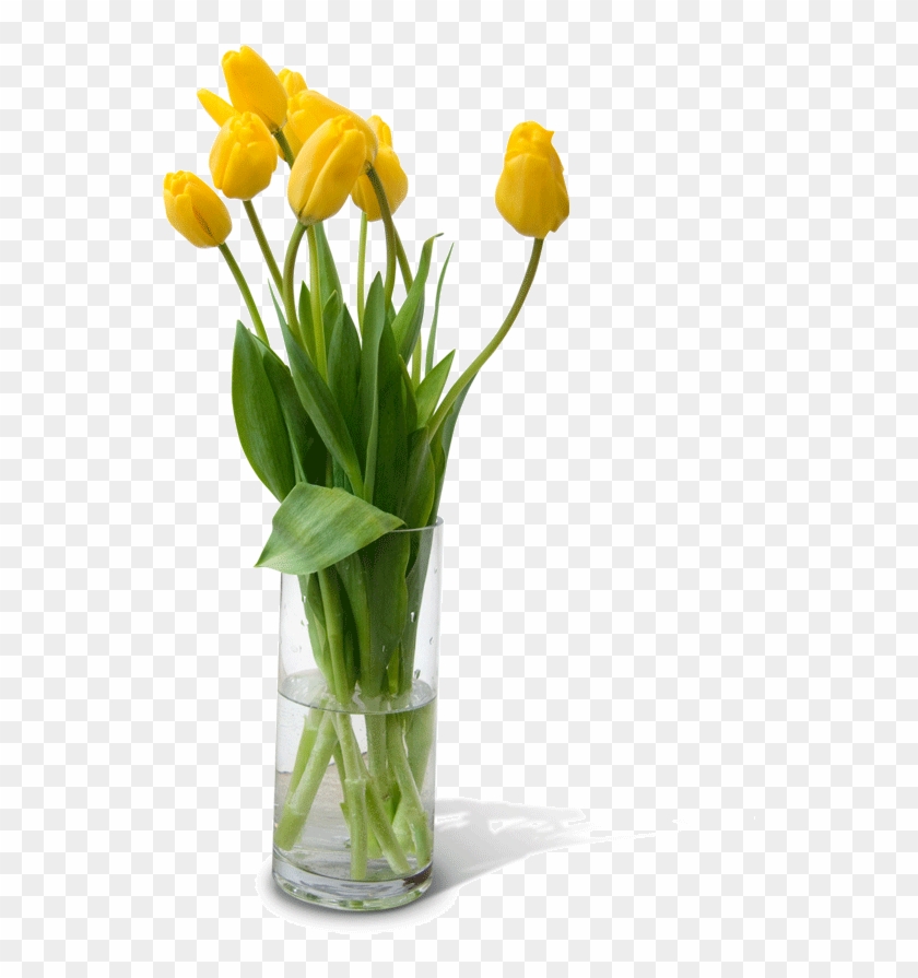Flower Vase Png Free Download.
