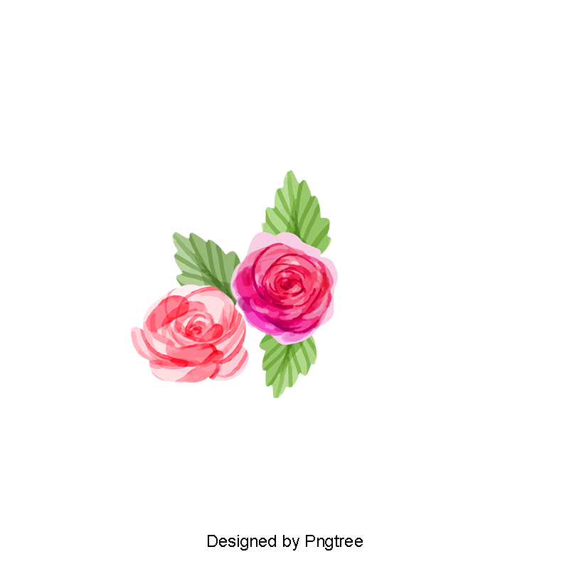Hd Flowers PNG Images.