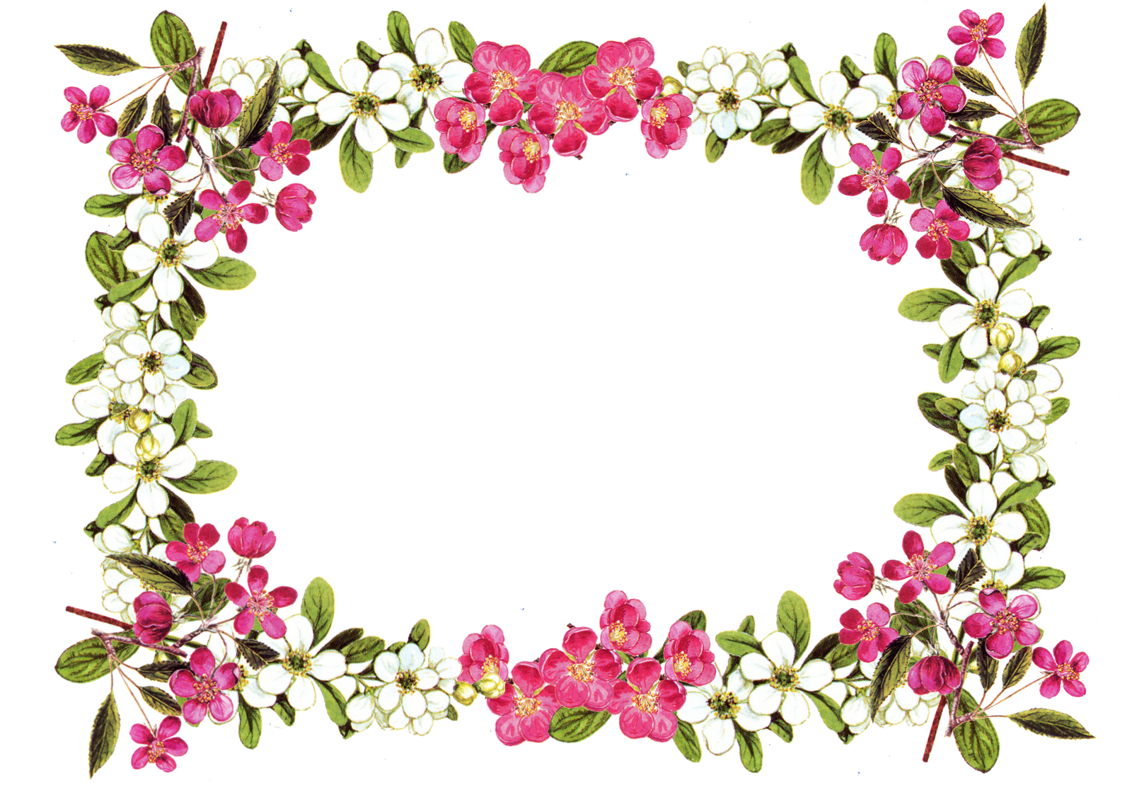 flower border images free 20 free Cliparts  Download images on