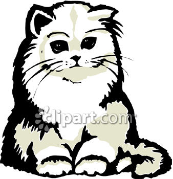 Fluffy cat clipart 20 free Cliparts | Download images on Clipground 2021