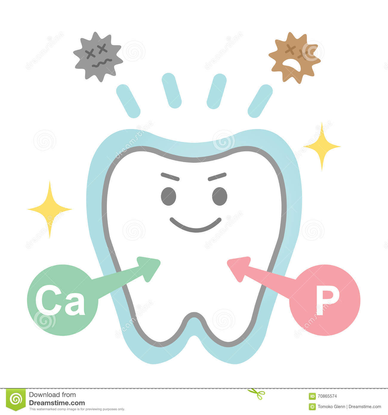 Effects Of Fluoride On Teeth Stock Vector.