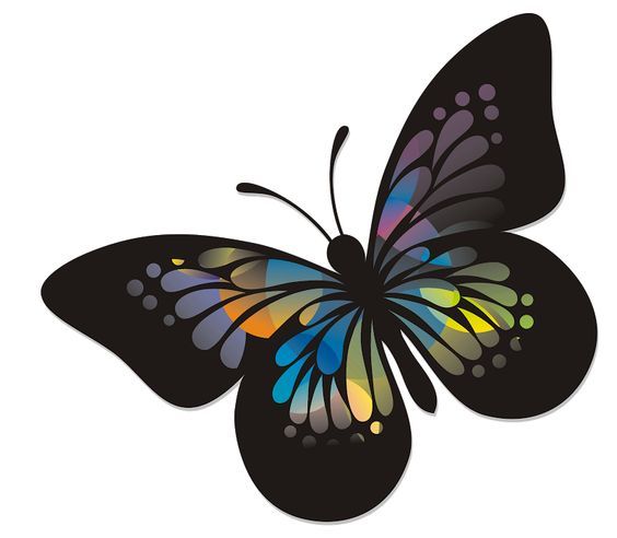 Flutter clipart 20 free Cliparts | Download images on Clipground 2024