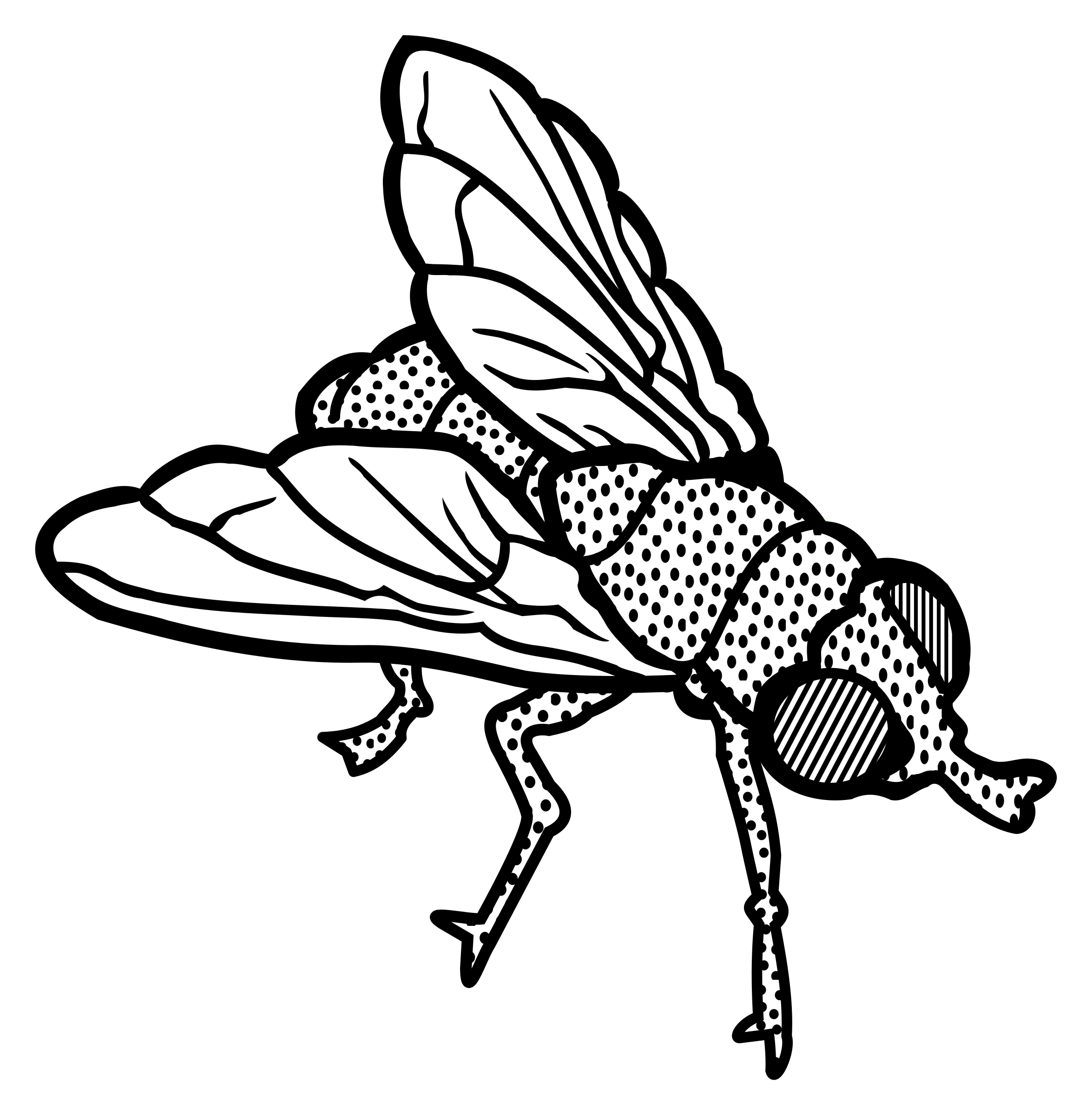 Fly Art Clipart 20 Free Cliparts Download Images On Clipground 2022