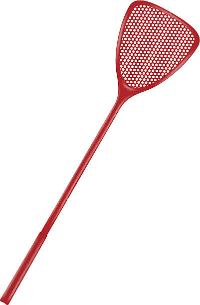Best Fly Swatter Illustrations, Royalty.